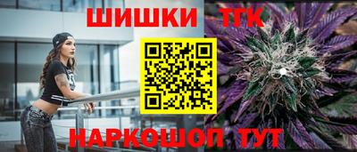 индика Партизанск