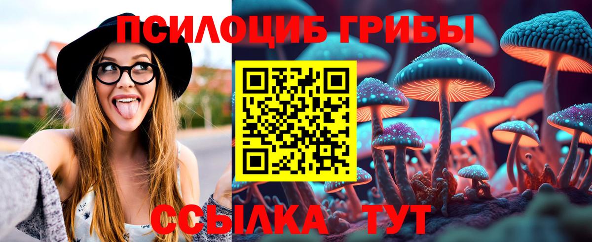 Галлюциногенные грибы Cubensis  Вход с VPN  Петрозаводск  Псилоцибиновые грибы Psilocybine cubensis 